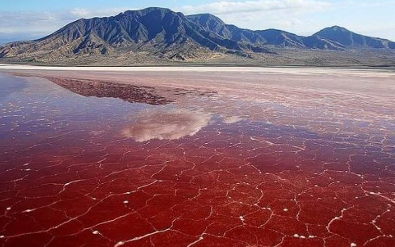 دریاچه نمک ناترون، منطقه‌ای خطرناک در دنیا